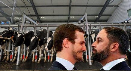 ABASCAL CASADO MACROGRANJAS