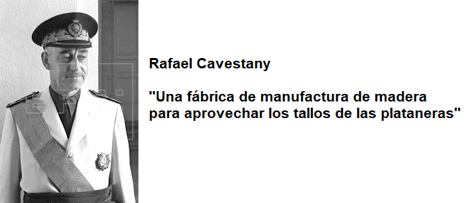 RAFAEL CAVESTANY
