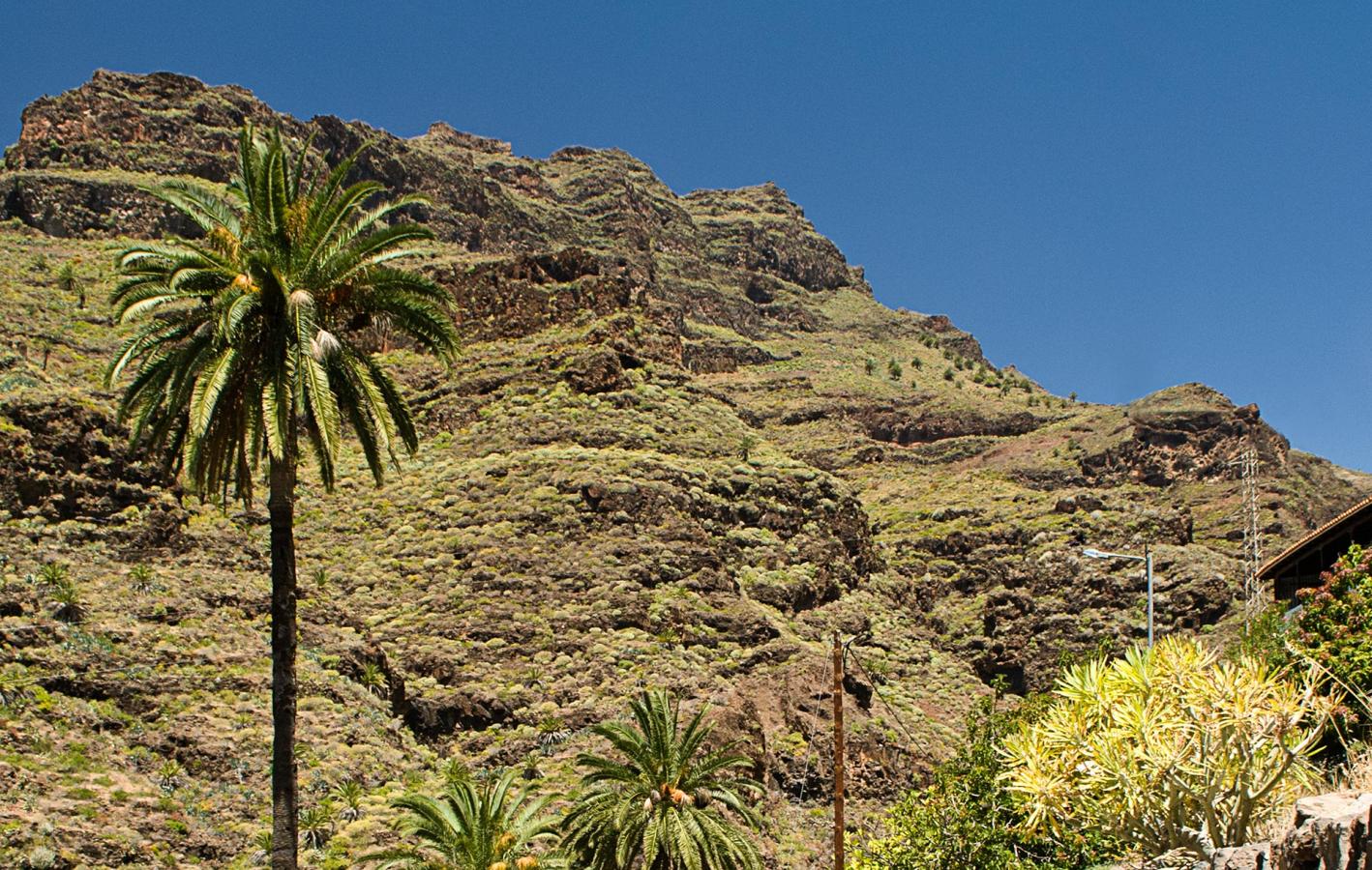 BARRANCO LA GOMERA