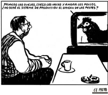 EL ROTO GANADERÍA