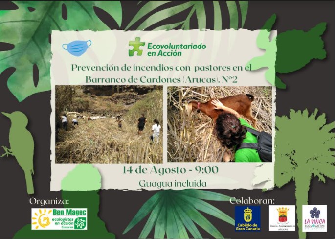 ECOVOLUNTARIADO EN ACCIÓJN