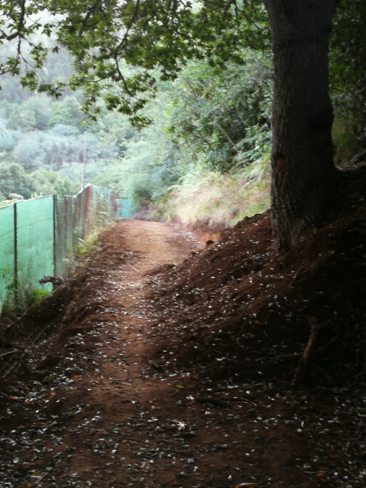 IMG-20210816-WA0067