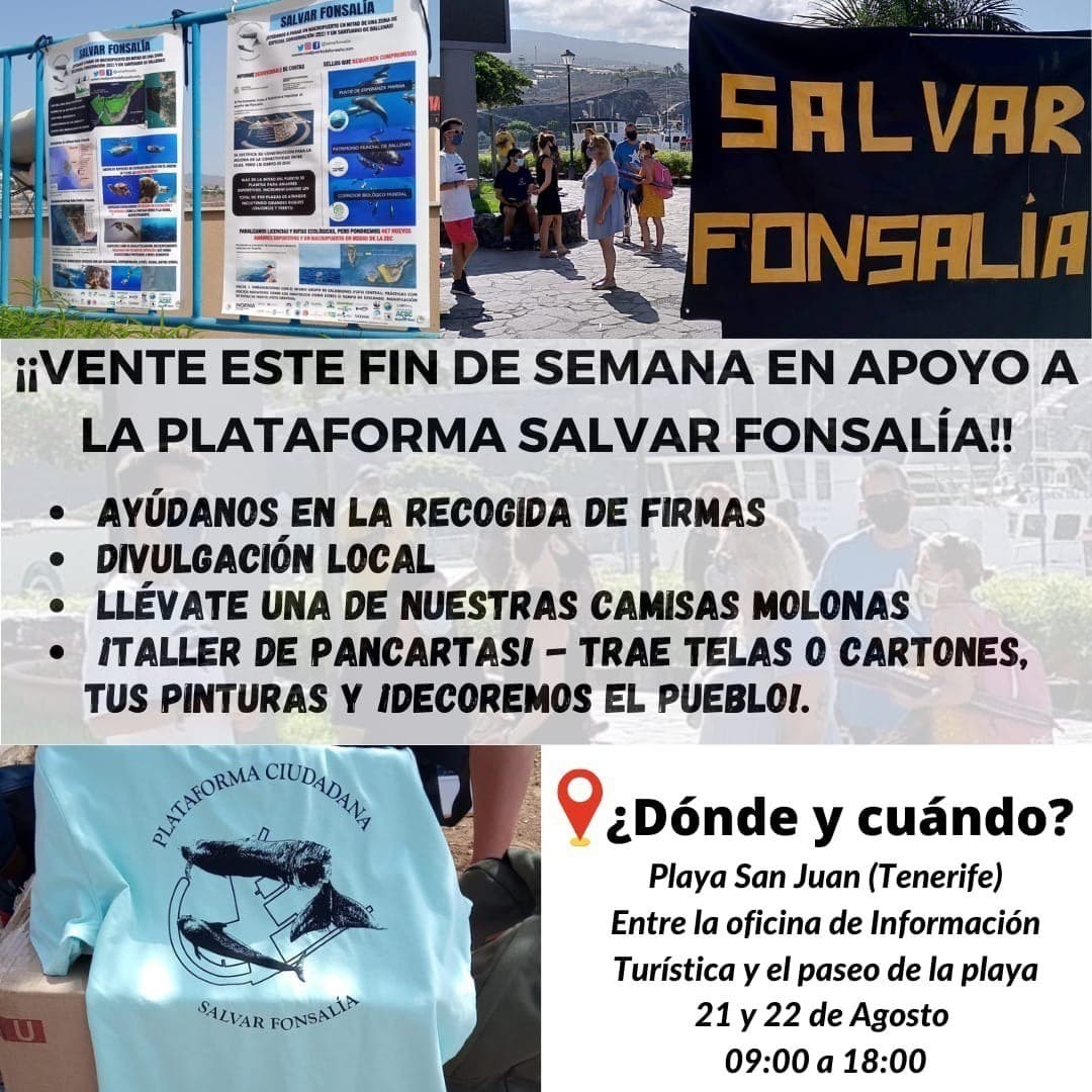 SALVAR FONSALÍA