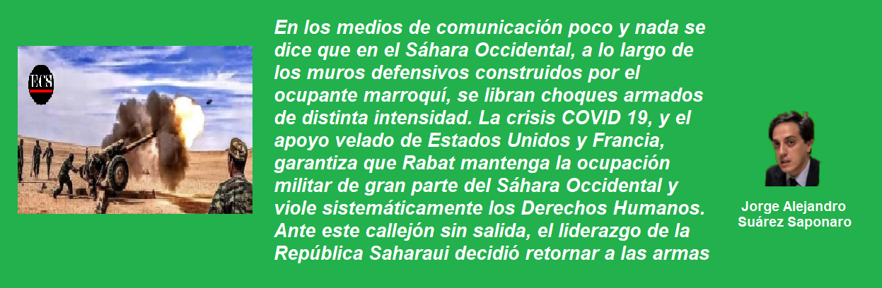 frase saponaro