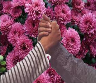 AMISTAD