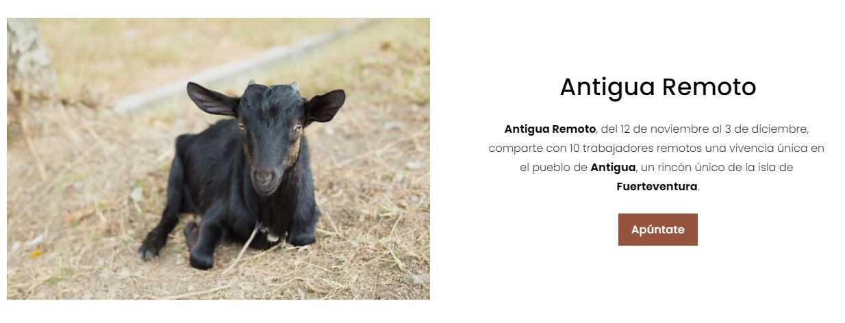 antigua remoto