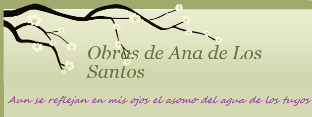banner ana de los santos