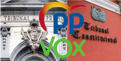 PP VOX TRIBUNALES