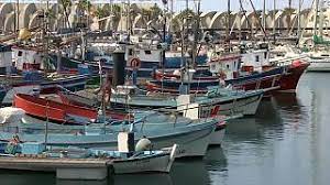 pesca la palma