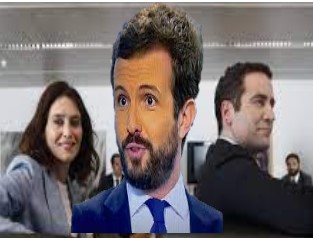 CASADO DÍAZ AYUSO EGEA