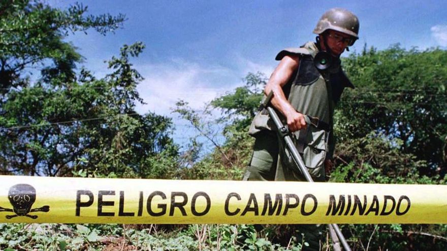 semillas ramón 2