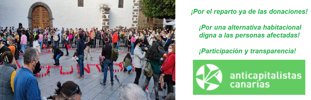 frase anti la palma