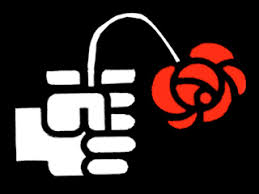 rosa psoe