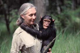 jane goodall