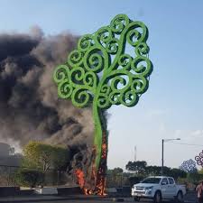 ÁRBOLES MANAGUA