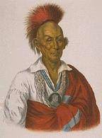 black hawk