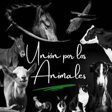 UNIÓN POR LOS ANIMALES
