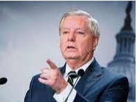 Senador Graham