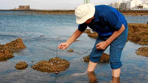 PESCA DE MORENA CANARIAS 7