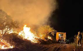 INCENDIO LOS REALEJOS
