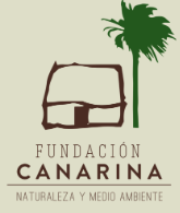 FUNDACIÓN CANARINA Aparecido originalmente en la web de FUNDACIÓN CANARINA. La casa de mi tía republica por el alto interés del contenido, con autorización