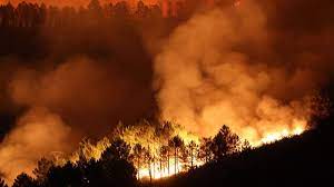 INCENDIO