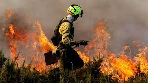 BOMBERO FORESTAL
