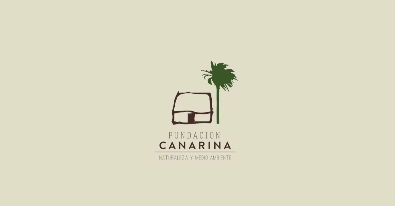 fundacióncanarina.org