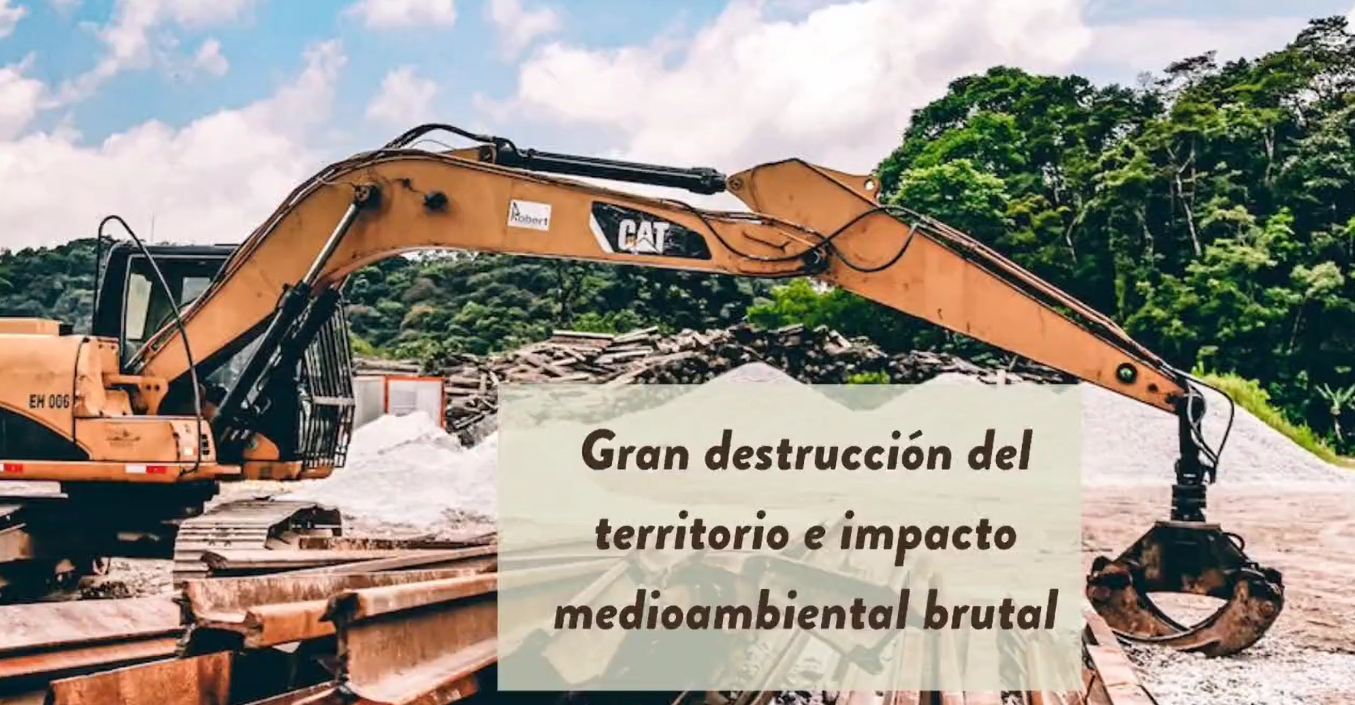 fundacioncanarina.org