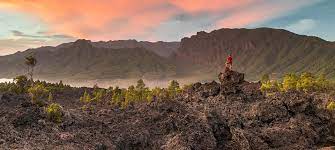LA PALMA