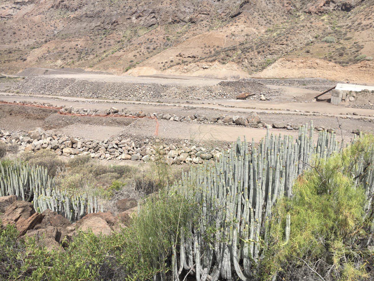 VENEGUERA