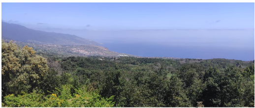 PAISAJE DESDE LA CASA DE LOS CABALLEROS. BREÑA ALTA.