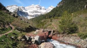 CANAL ROYA