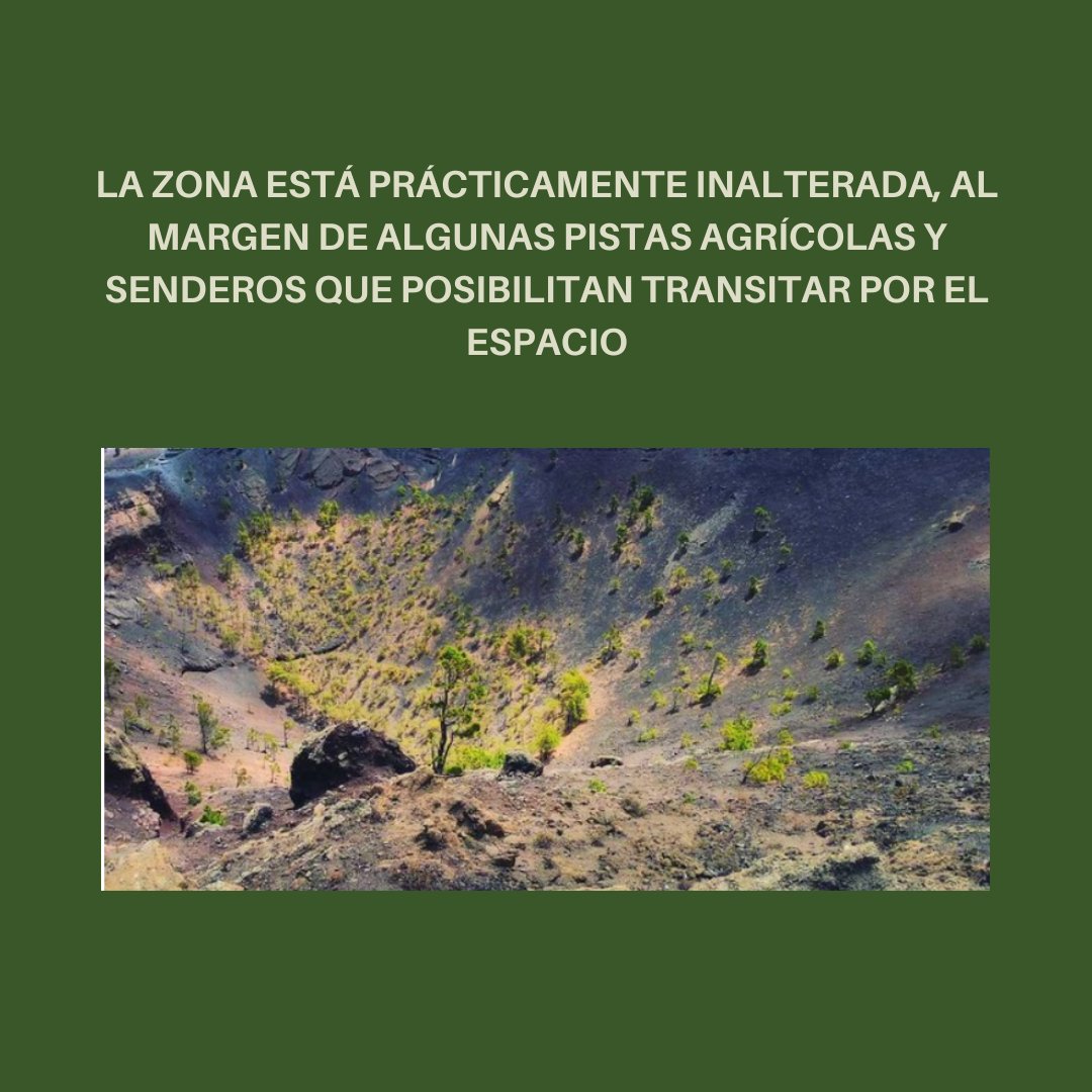 LA PALMA