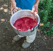 SANGRE