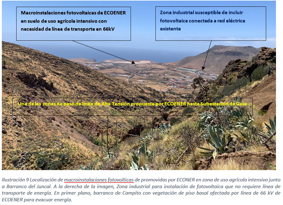 Linea alta Agaete-Guía (7)
