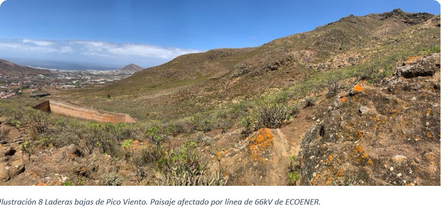 Linea alta Agaete-Guía (8)