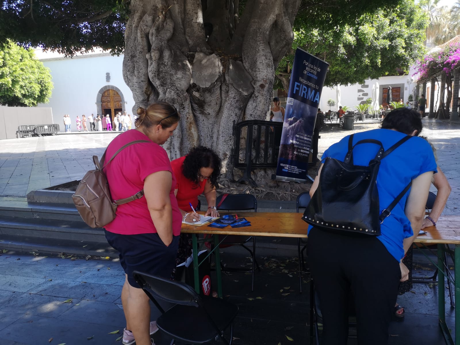 firmas en Los LLanos