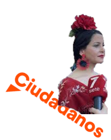 ARRIMADAS