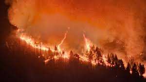 INCENDIO TENERIFE AGOSTO 2023