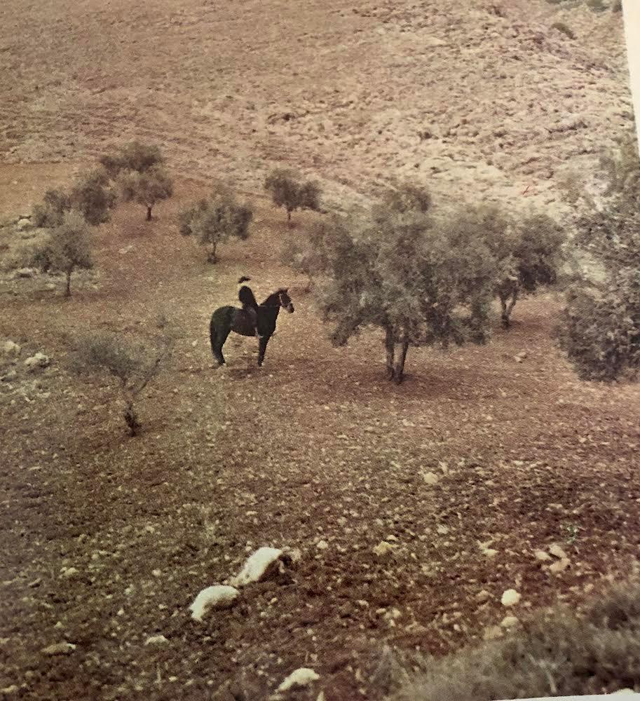 FEDERICO Lugar donde  fue asesinado por las tropas franquistas en el Barranco de Víznar, junto a un olivo, en la localidad granadina de Alfacar (Andalucía, sur de España)
