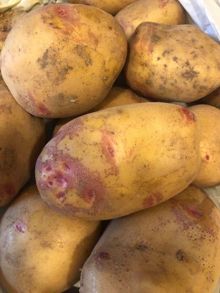 PAPAS