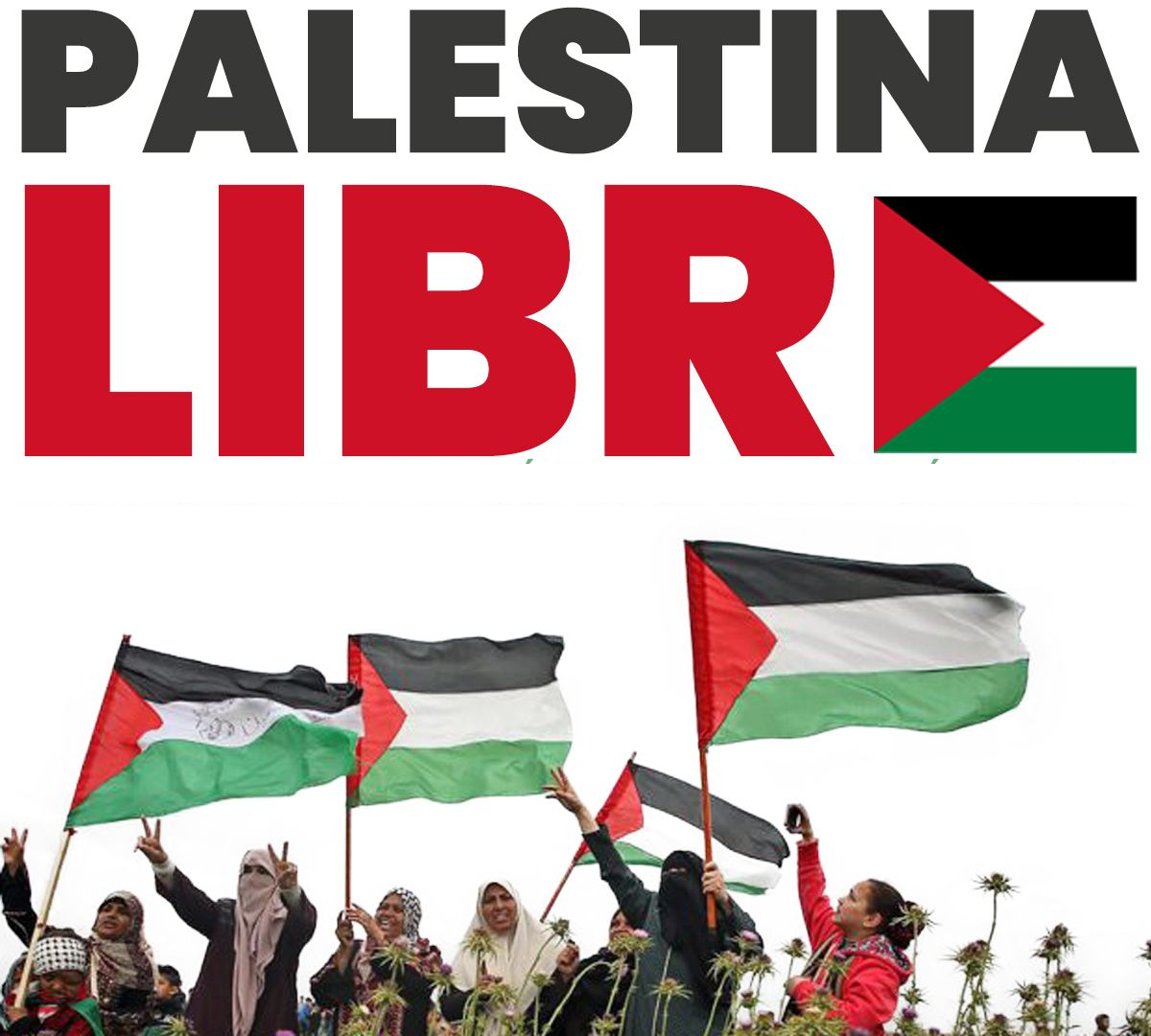 PALESTINA 2