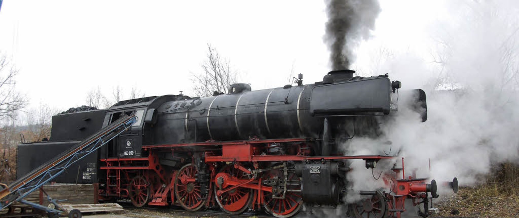 LOCOMOTORA