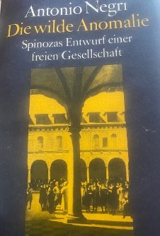Negri Spinozas wilde anomalie
