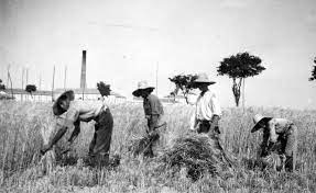 ESPAÑA AGRÍCOLA AÑOS 30