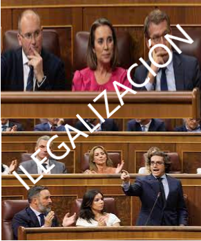 PP VOX ILEGALIZACIÓN