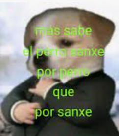 PERRO SANXE
