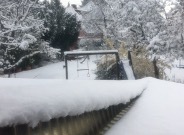 Nieve en mi jardín