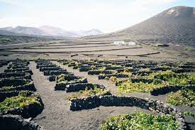 LA GERIA